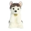 Aurora - Miyoni - Sitting Pretty - 10" Husky Pup White